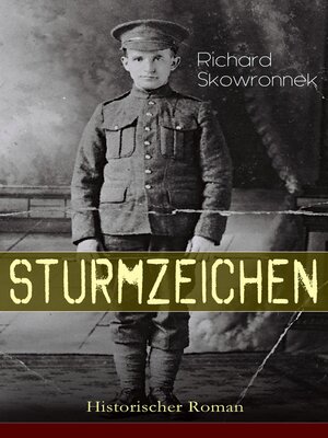 cover image of Sturmzeichen (Historischer Roman)